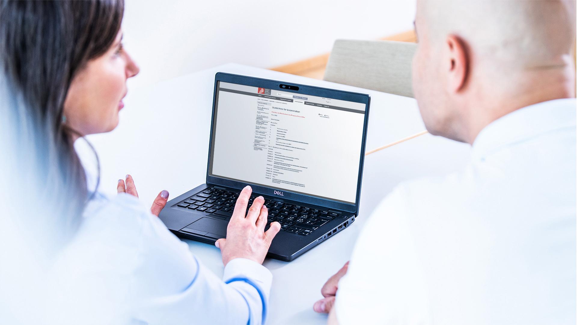 Two examiners looking at the Guidelines webpage