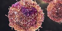 Cancer case studies teaser